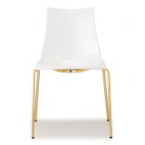 Стілець Zebra 2273 Glossy White Satin Brass від виробника S•CAB, артикул (2273OS310)|Фотогалерея товарів|Офіційний імпортер ➜ Вілла Ванілла